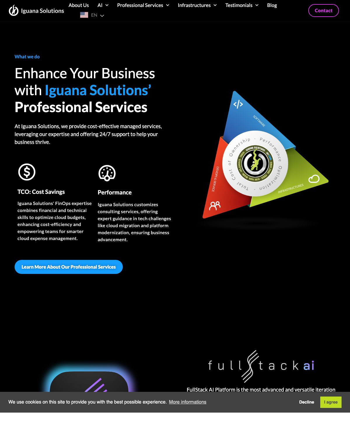 IG1 Iguana Solutions managed services website preview